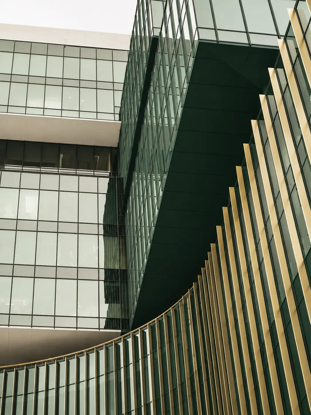 Professional legal corporate view