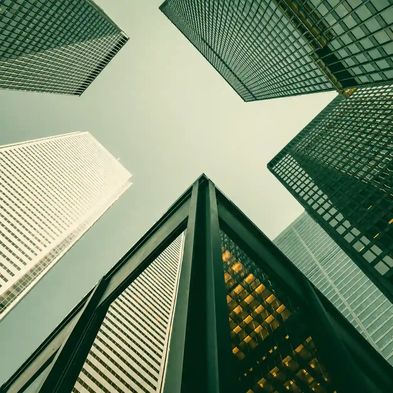 Joint Ventures & Strategic Alliances